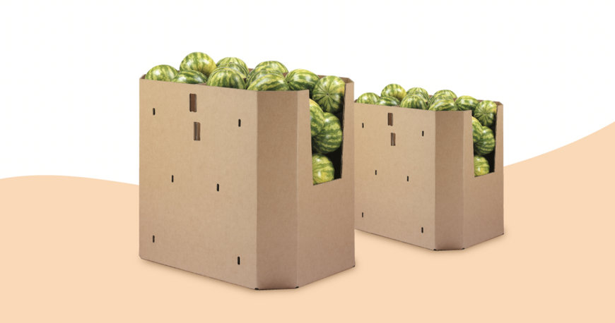 RAZONES PARA ELEGIR UN PACKAGING SOSTENIBLE 